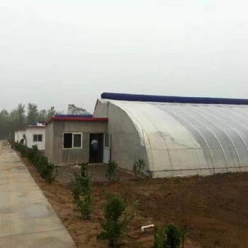 青海鋼管墻體溫室搭建墻體溫室大棚