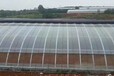 浙江鋼管墻體溫室性能特點墻體溫室大棚