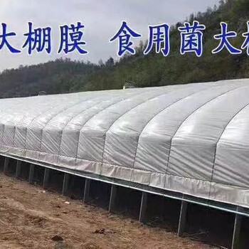 上海養(yǎng)殖大棚廠家聯(lián)系方式食用菌大棚