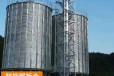 内蒙古2000吨玉米钢板仓