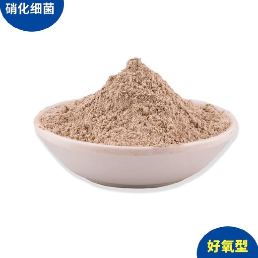 張家口尚義生物菌種如何使用