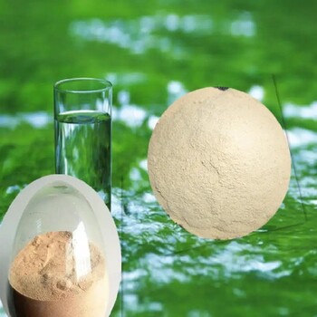 石家莊贊皇生物菌種_誠信互利