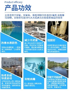 石家莊贊皇生物菌種_誠信互利