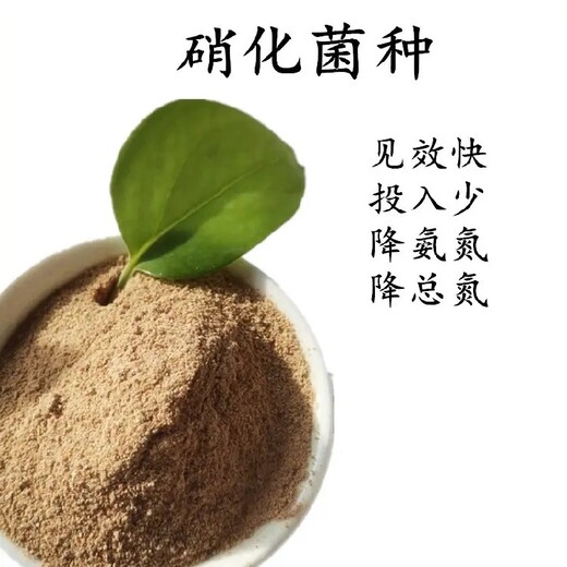 石家庄新华区生物菌种生产批发价