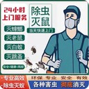 漳州市怎么樣消滅白蟻公司電話泉州市徹底殺除白蟻公司電話