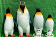 曲阳县大型企鹅雕塑公司