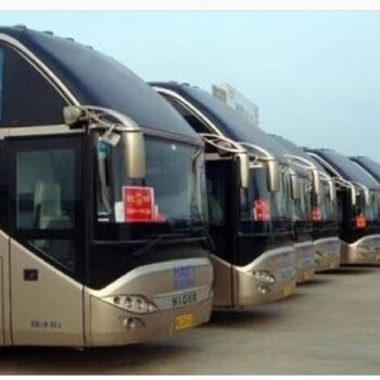 青島到菏澤直達汽車安全放心