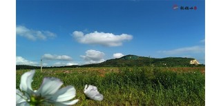 沈阳龙福山公墓电话号图片0