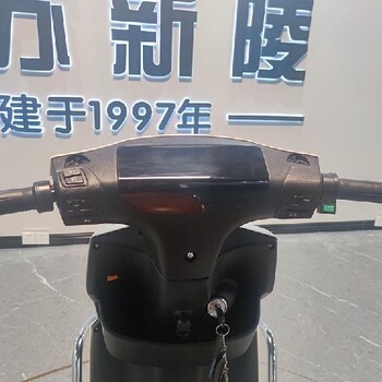 仙桃廠家綠雕電動車