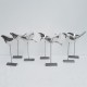几何不锈钢小鸟雕塑图