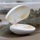 天津销售贝壳雕塑定制产品图
