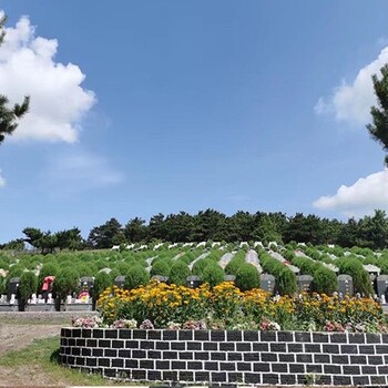 抚顺双龙山墓园地址