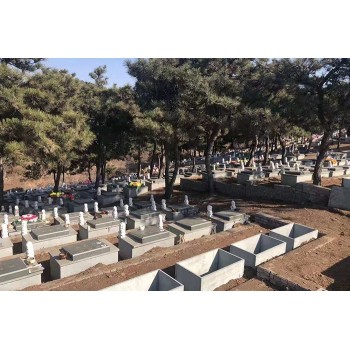 双龙山公墓是正规墓园吗