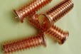  How much is a copper plated spot welding screw in Yancheng