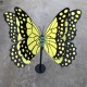 安徽发光不锈钢蝴蝶雕塑价格产品图