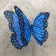 安徽创意不锈钢蝴蝶雕塑定制产品图
