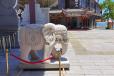 惠安石雕厂定做1米高银行门口白石大象一对石头大象工艺品