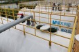 mbr一体化污水处理设备厂一体化MBR膜设备污水处理工厂