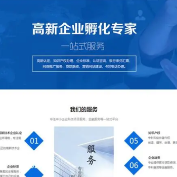 高新企業(yè)培育