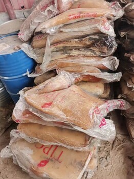 興安盟回收丁苯橡膠口碑好