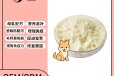 长沙小海药业猫用零乳糖羊奶粉OEM加工贴牌生产公司