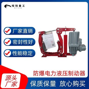 普洱BYWZ5-250/30防爆制動(dòng)器