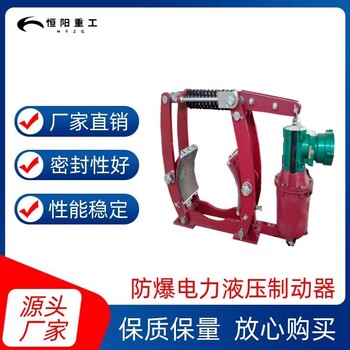 曲靖BYWZ5-250/30防爆制動器