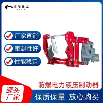 曲靖BYWZ5-250/30防爆制動器
