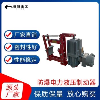 涼山BYWZ5-200/30防爆制動器