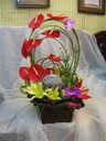 北京海淀室內(nèi)花卉租擺多少錢一天