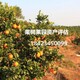 黑龍江果樹評估圖
