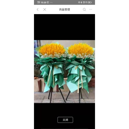 东城花卉租摆设计花卉销售