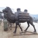 西藏仿铜玻璃钢骆驼雕塑大全产品图