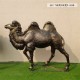新款玻璃钢骆驼雕塑图