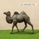 新疆玻璃钢骆驼雕塑图