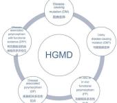 QIAGEN人类基因突变数据库HGMD