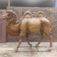 公园玻璃钢骆驼雕塑图