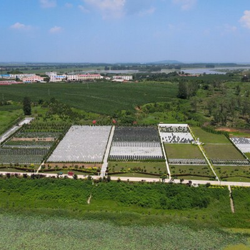 鐵嶺隆寶山墓地怎么走比較近