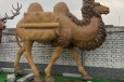 新疆仿真玻璃钢骆驼雕塑厂家直销