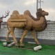 玻璃钢骆驼雕塑图