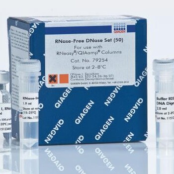 QIAGEN79254RNase-FreeDNaseSet50提RNA試劑