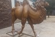 江苏新款玻璃钢骆驼雕塑多少钱
