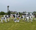 安徽景观奶牛雕塑价格