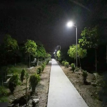 九龍坡太陽能路燈供應商,太陽能風能互補系列