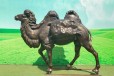 安徽热门玻璃钢骆驼雕塑制作厂家