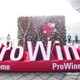 2024Prowine上海11月酒展图