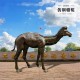 玻璃钢骆驼雕塑定做图