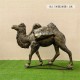 玻璃钢骆驼雕塑图