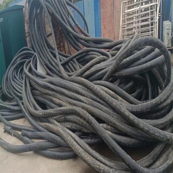 青浦从事回收电缆线厂家