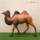 四川热门玻璃钢骆驼雕塑多少钱产品图